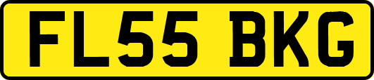 FL55BKG