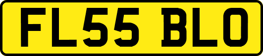 FL55BLO