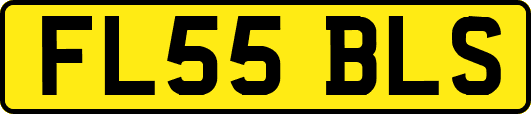 FL55BLS