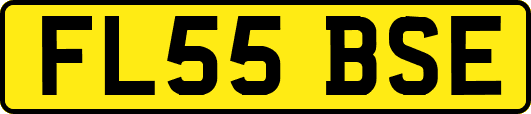FL55BSE