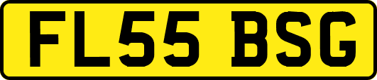FL55BSG