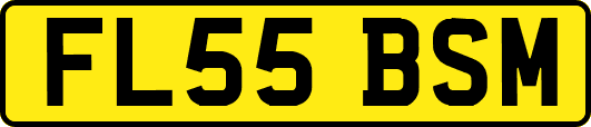 FL55BSM