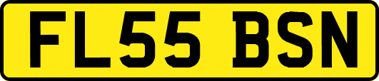 FL55BSN