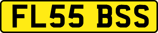FL55BSS