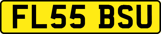 FL55BSU