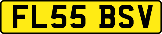 FL55BSV