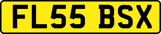 FL55BSX