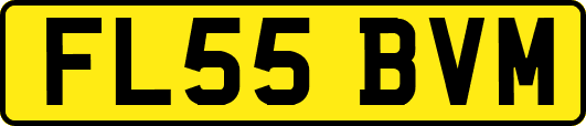 FL55BVM
