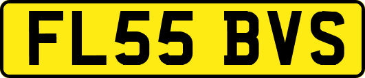 FL55BVS