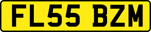 FL55BZM