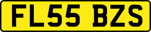 FL55BZS