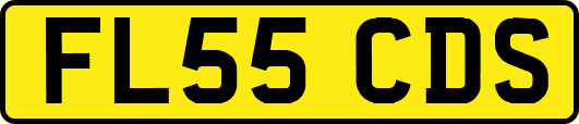 FL55CDS