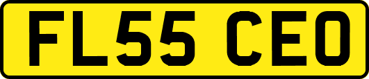 FL55CEO