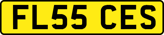 FL55CES