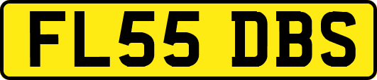 FL55DBS