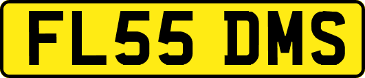 FL55DMS