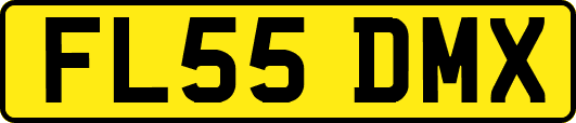 FL55DMX