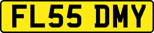 FL55DMY