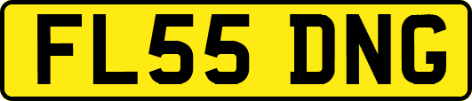FL55DNG