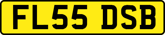 FL55DSB