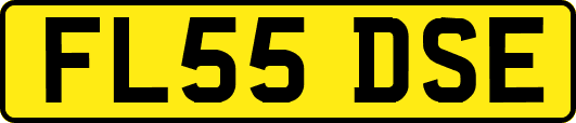 FL55DSE