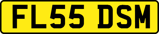 FL55DSM