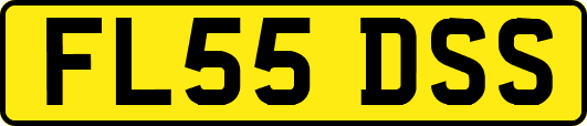 FL55DSS