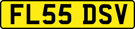FL55DSV