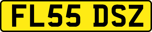 FL55DSZ