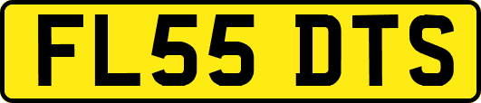 FL55DTS