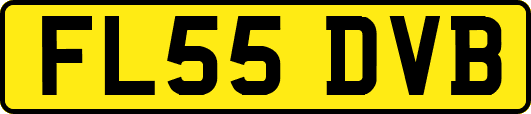 FL55DVB