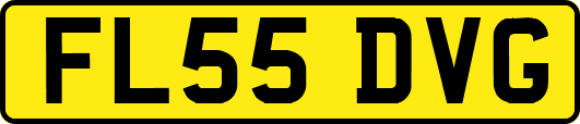 FL55DVG