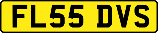 FL55DVS