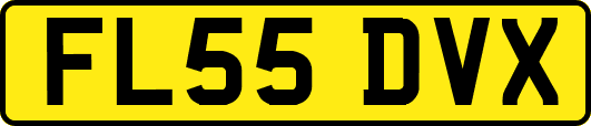 FL55DVX