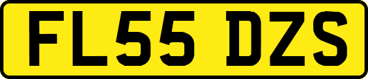 FL55DZS