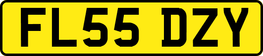 FL55DZY