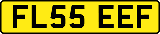 FL55EEF
