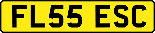 FL55ESC
