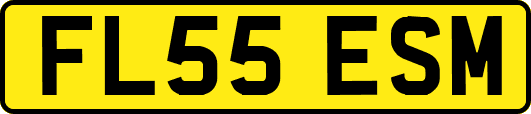 FL55ESM