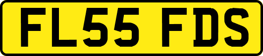 FL55FDS