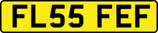 FL55FEF
