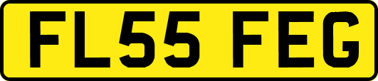 FL55FEG