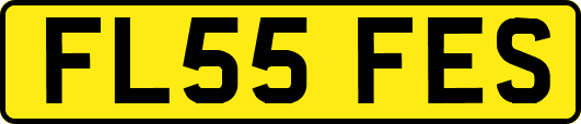 FL55FES