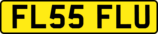 FL55FLU