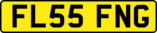 FL55FNG
