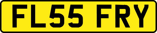 FL55FRY