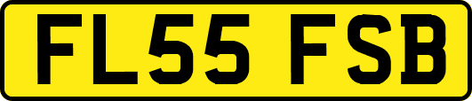 FL55FSB