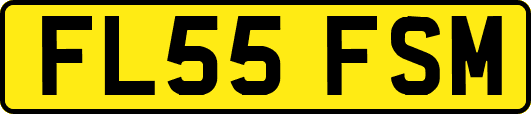 FL55FSM