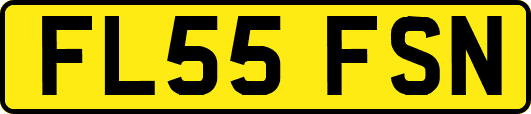 FL55FSN