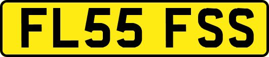 FL55FSS